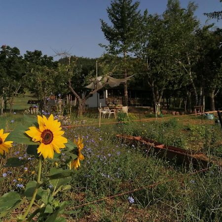Willa Nickland San Sebastiano Curone Zewnętrze zdjęcie